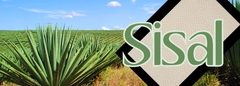 Alfombras de Sisal