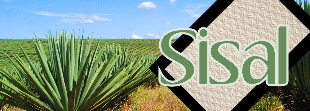 Alfombras de Sisal